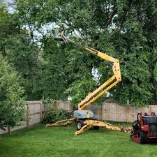 Best Grass Overseeding  in West Belmar, NJ